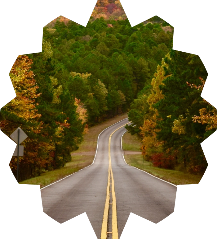 homepage header image